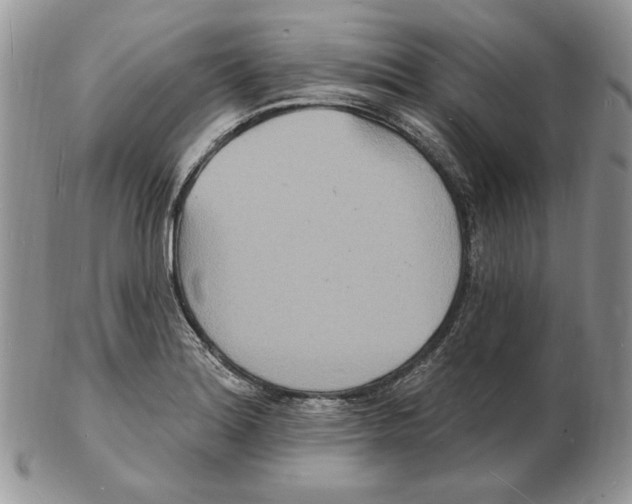 X0000102231180200808221301