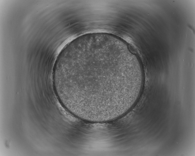 X0000102231181200808221301