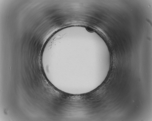 X0000102231182200808221301
