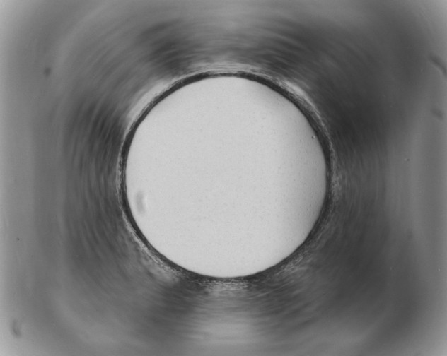 X0000102231183200808221301