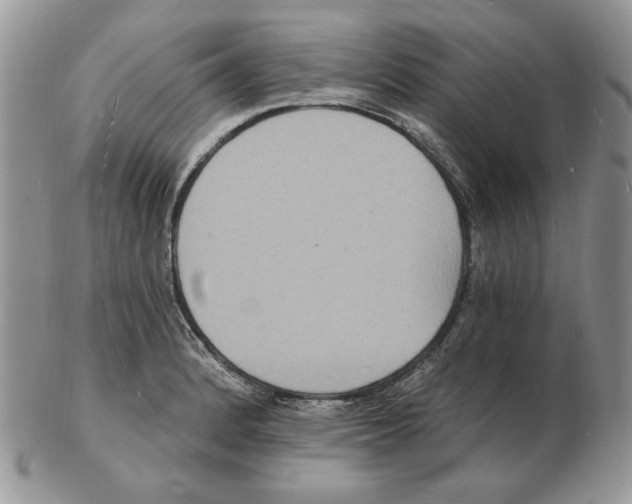 X0000102231184200808221301