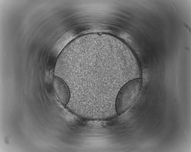 X0000102231185200808221301