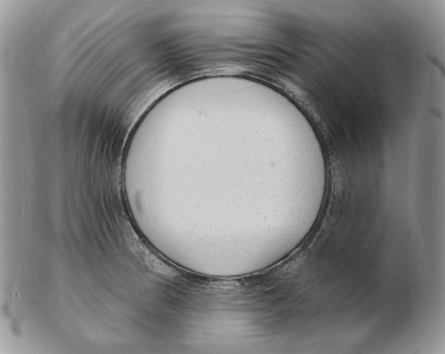 X0000102231186200808221301
