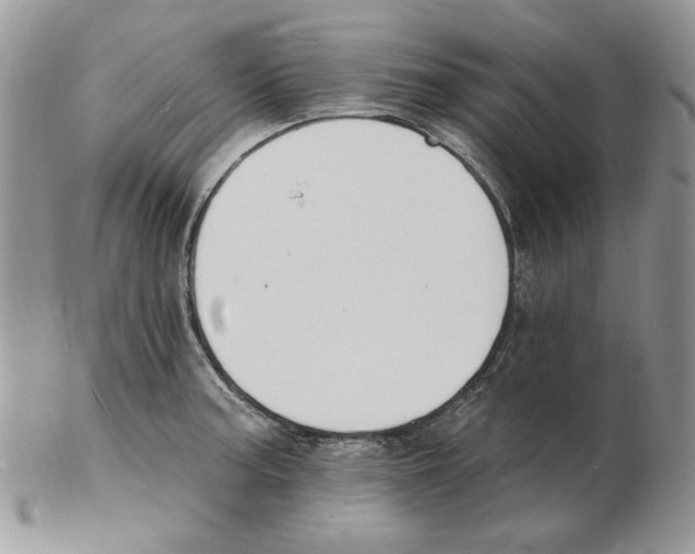 X0000102231187200808221301