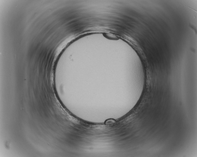 X0000102231188200808221301