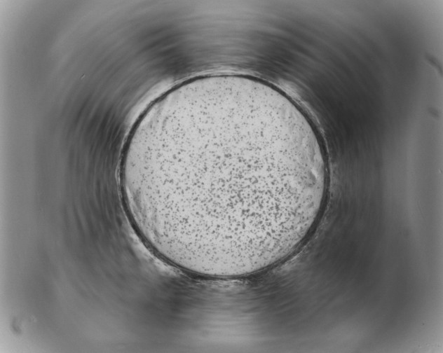 X0000102231189200808221301