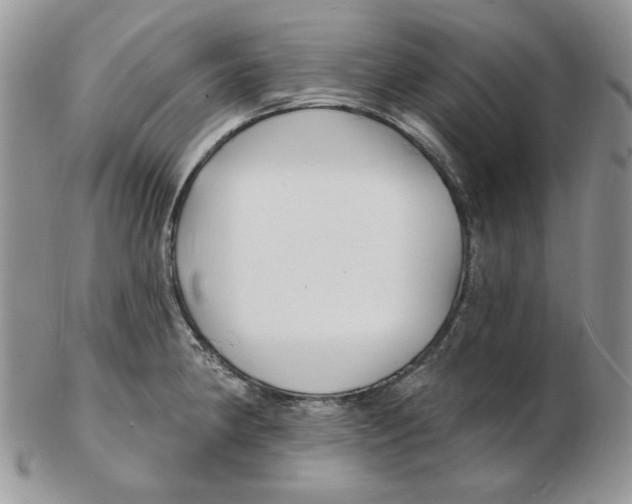 X0000102231190200808221301