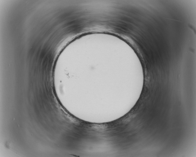X0000102231191200808221301