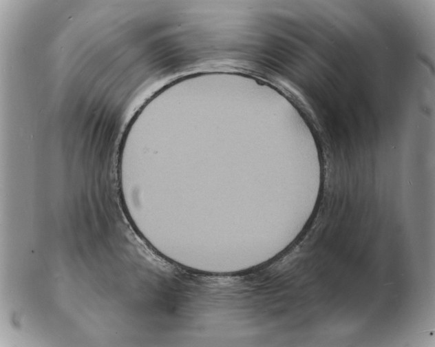 X0000102231192200808221301