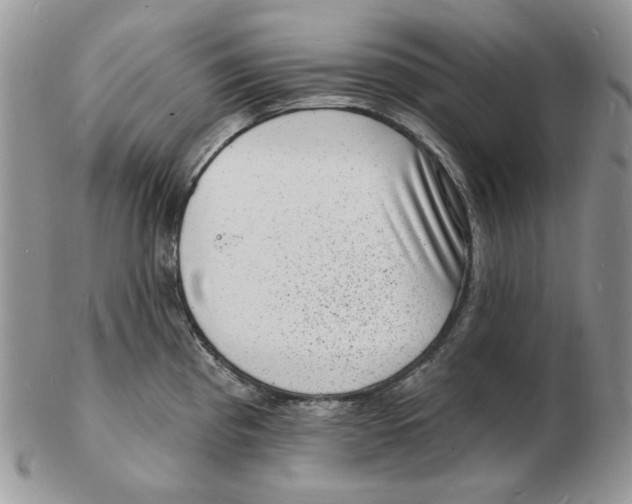X0000102231193200808221301