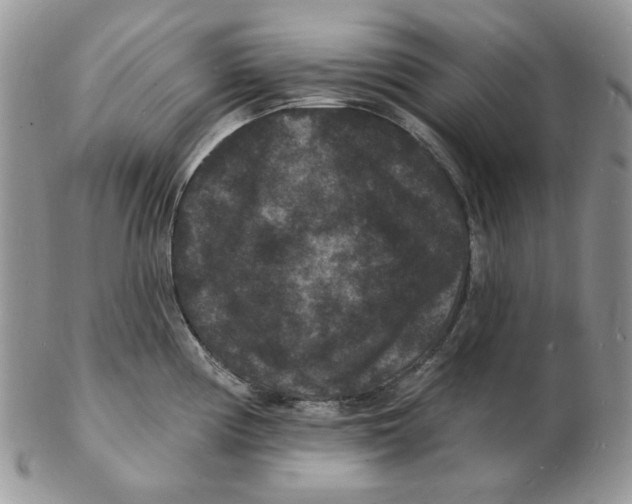 X0000102231194200808221301