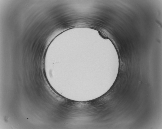 X0000102231195200808221301