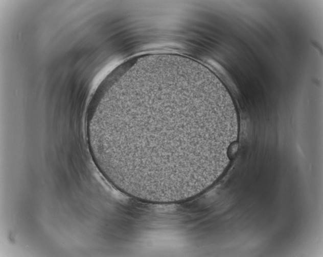 X0000102231196200808221301