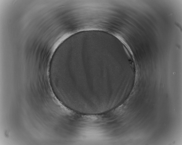 X0000102231197200808221301