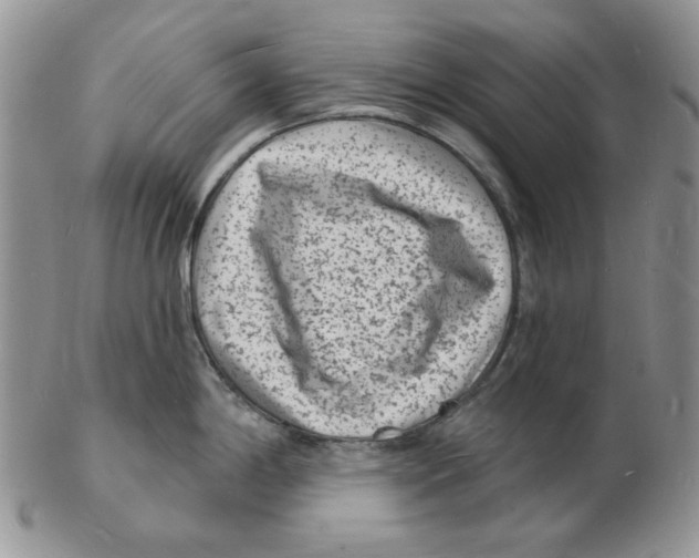 X0000102231198200808221301