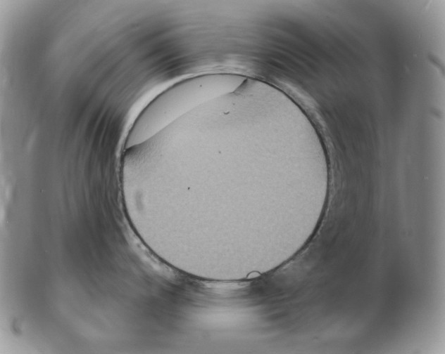 X0000102231200200808221301