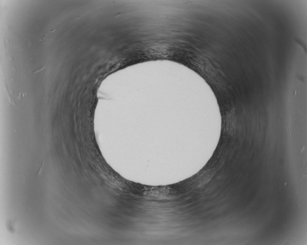 X0000102231201200808221300