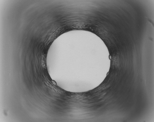 X0000102231202200808221300