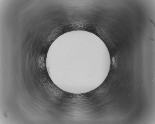 X0000102231203200808221300