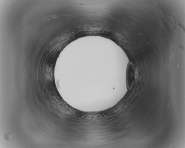 X0000102231204200808221300