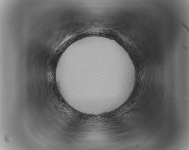 X0000102231206200808221300