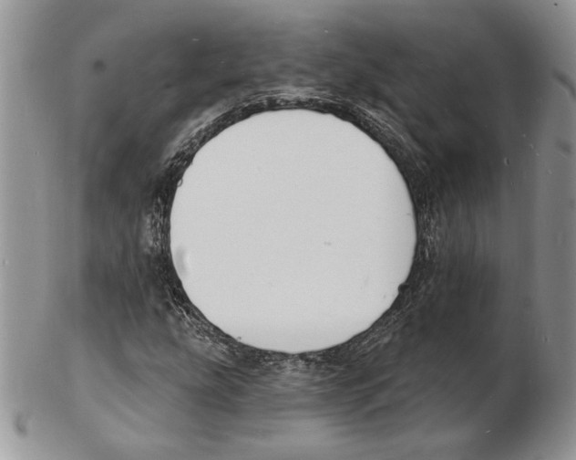 X0000102231207200808221300