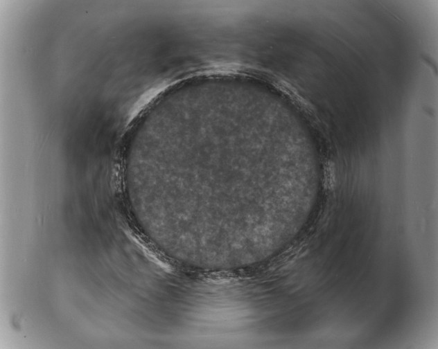 X0000102231208200808221300