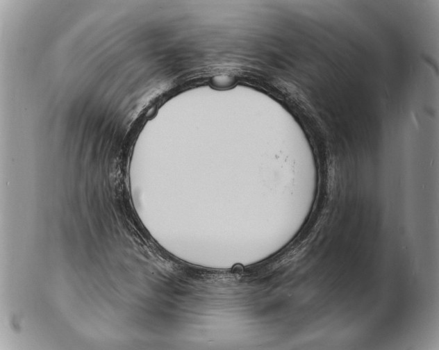 X0000102231210200808221300