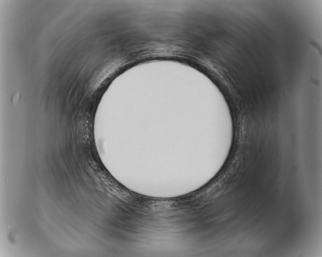 X0000102231211200808221300