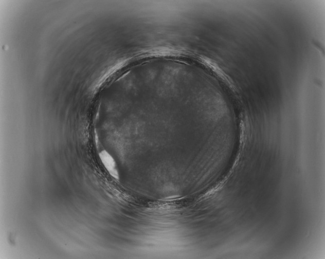 X0000102231213200808221300