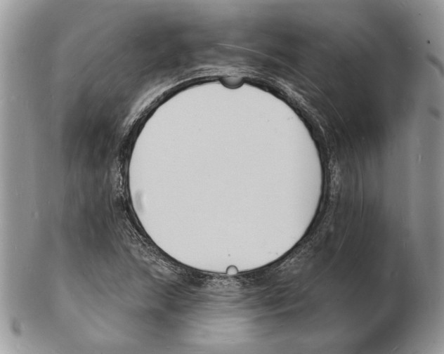 X0000102231215200808221300