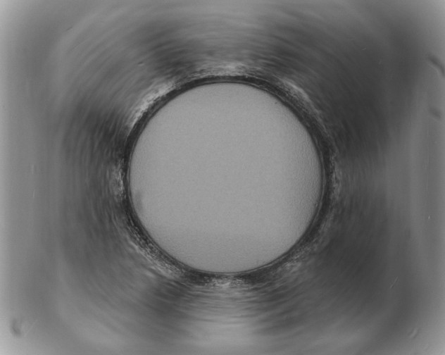 X0000102231218200808221300