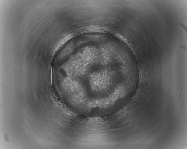 X0000102231219200808221300