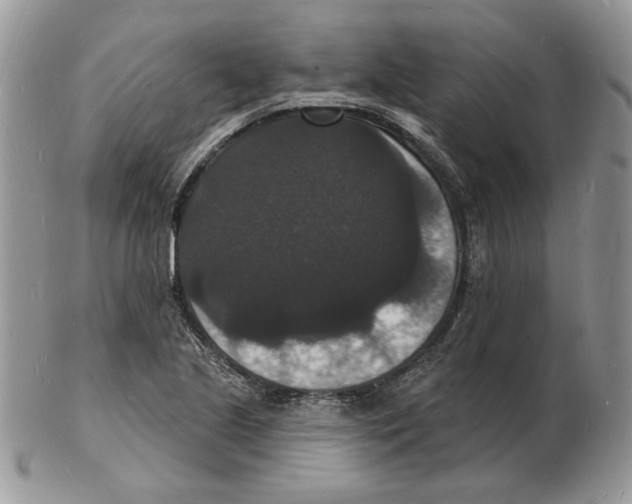 X0000102231221200808221300