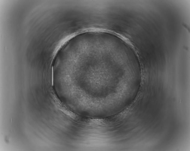 X0000102231223200808221300