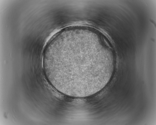 X0000102231224200808221300