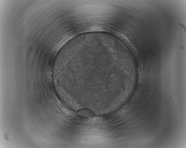 X0000102231225200808221300
