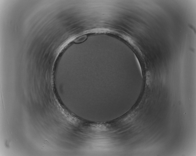 X0000102231229200808221300