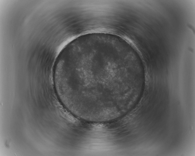 X0000102231230200808221300