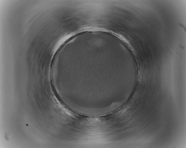 X0000102231231200808221300