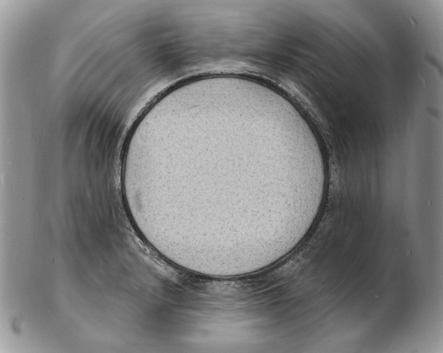 X0000102231232200808221300