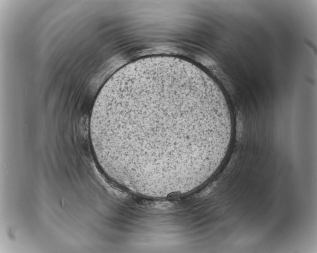 X0000102231233200808221300
