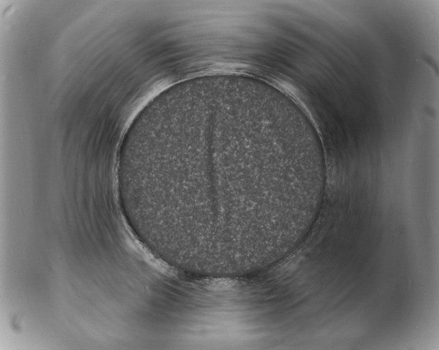 X0000102231235200808221300