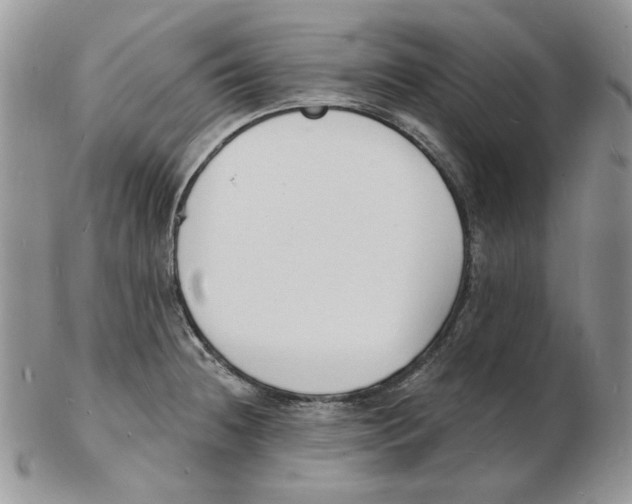 X0000102231236200808221300
