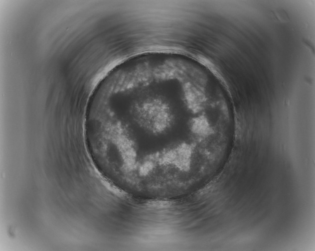 X0000102231237200808221300