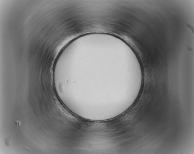 X0000102231238200808221300