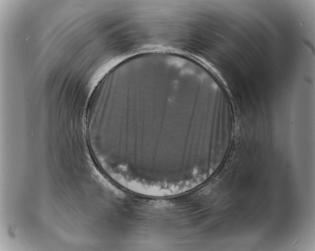 X0000102231239200808221300