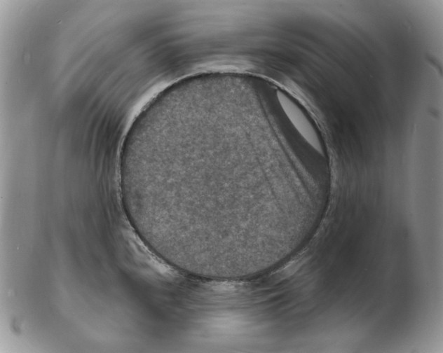 X0000102231240200808221300