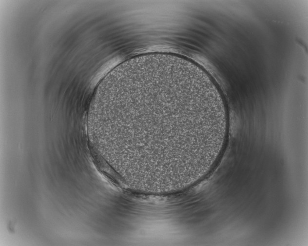X0000102231241200808221300