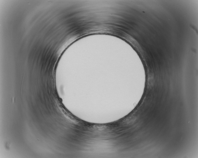 X0000102231242200808221300
